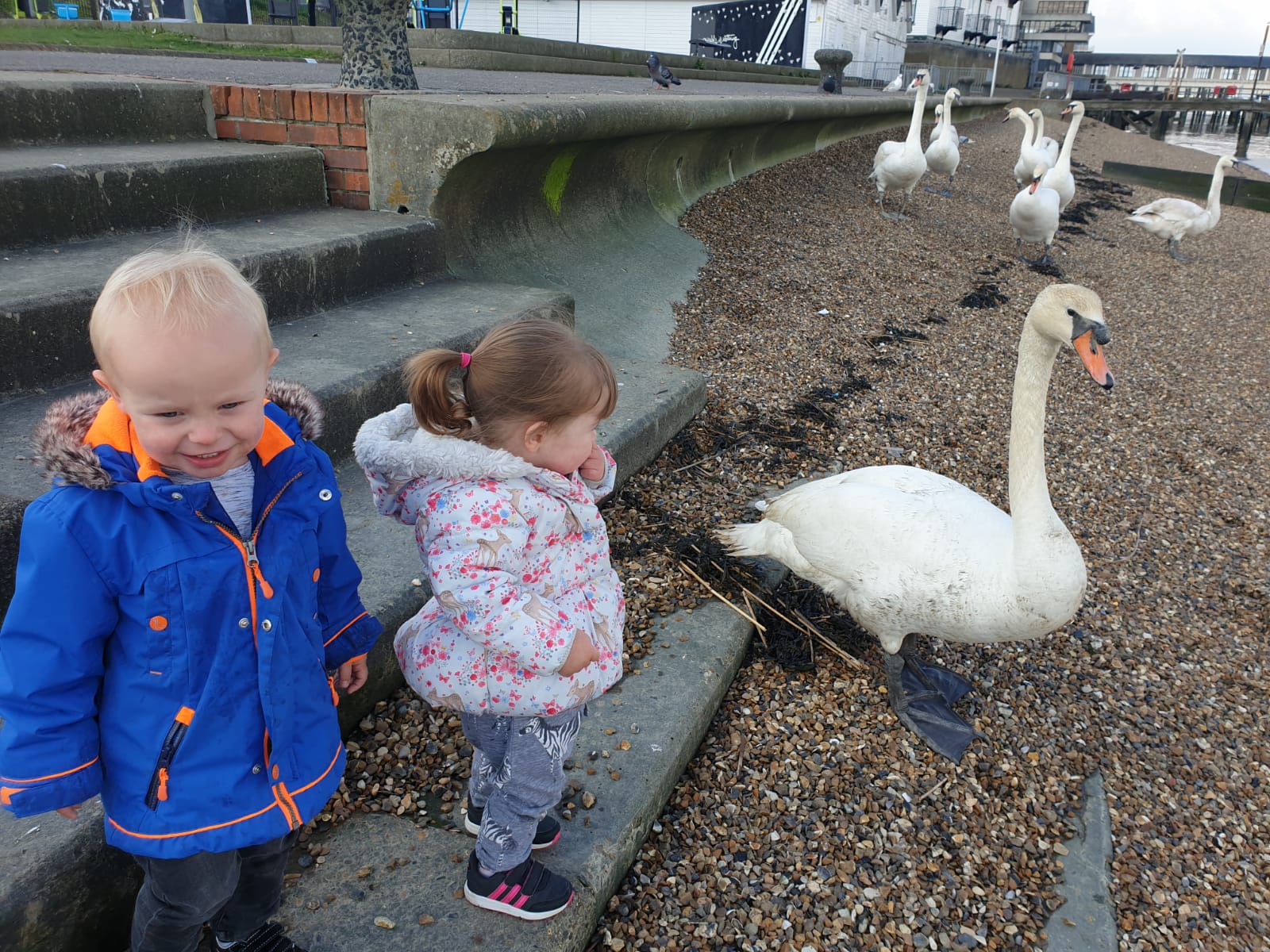 Children with a swan